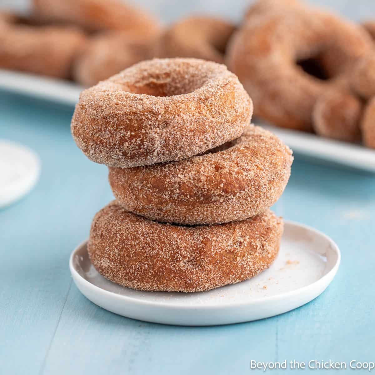 Cinnamon sugar donut